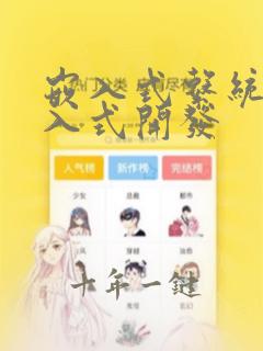 嵌入式系统 嵌入式开发