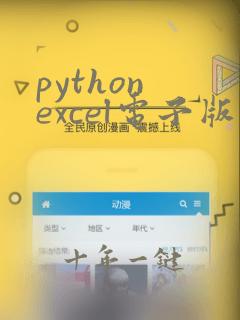 python excel电子版