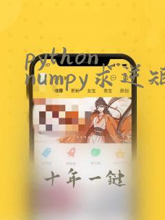 python numpy求逆矩阵