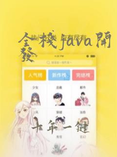 全栈java开发