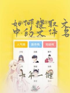 如何提取文件夹中的文件名到excel