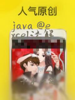 java @excel注解
