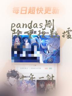pandas删除重复数据