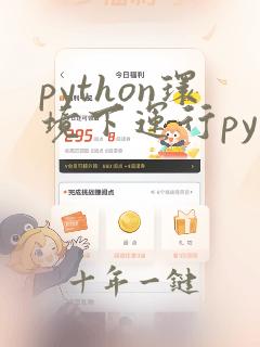 python环境下运行py文件