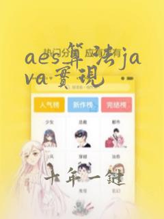 aes算法java实现