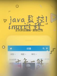 java监控linux进程