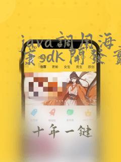 java调用海康sdk开发实例