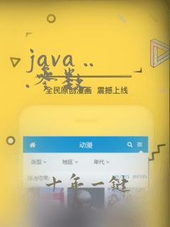 java ...参数