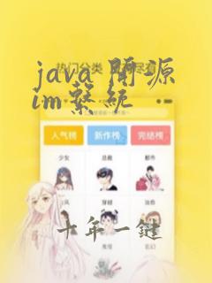 java 开源im系统