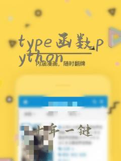 type函数python