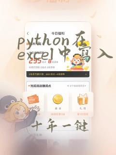 python在excel中写入数据