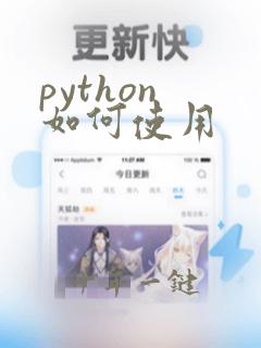 python 如何使用