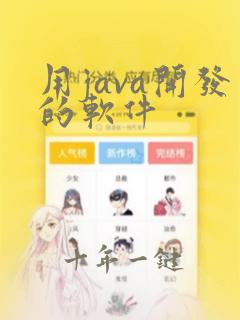 用java开发的软件