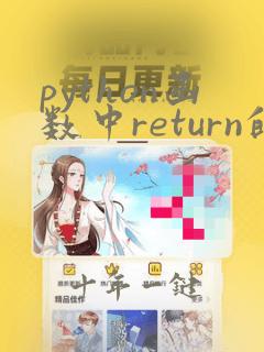 python函数中return的用法