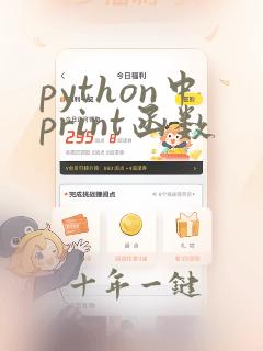 python中print函数