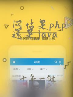 网站是php 还是java