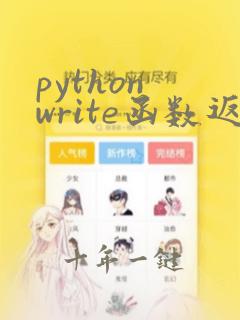 python write函数返回值