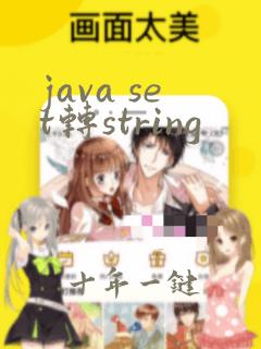 java set转string