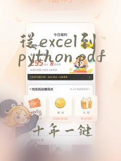 从excel到python pdf