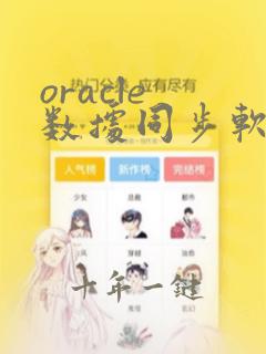 oracle 数据同步软件