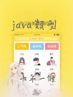 java类型