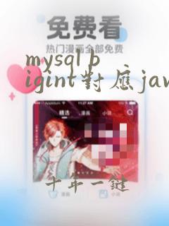 mysql bigint对应java什么类型