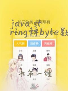java string转byte数组