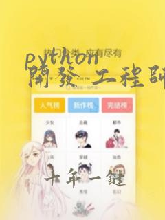 python 开发 工程师