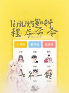 linux运行程序命令
