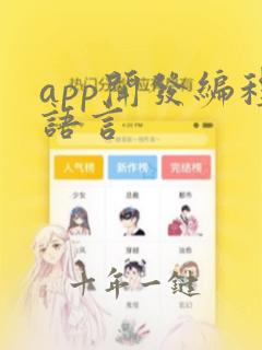 app开发编程语言