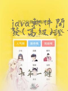 java软件开发(高级)证书