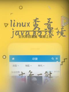 linux查看java的环境变量