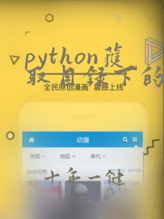 python获取目录下的所有文件