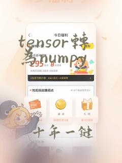 tensor转为numpy