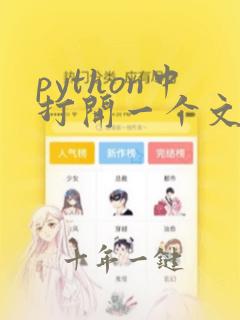 python中打开一个文件