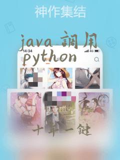 java 调用 python