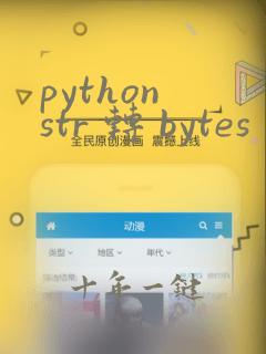 python str 转 bytes