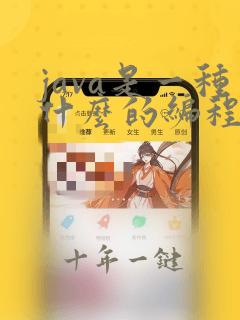 java是一种什么的编程语言