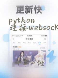 python 连接websocket