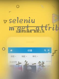 selenium get_attribute