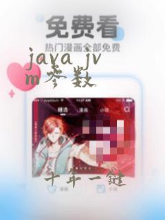 java jvm参数