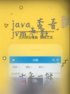 java 查看jvm参数