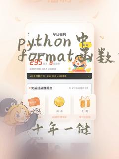 python中format函数的作用