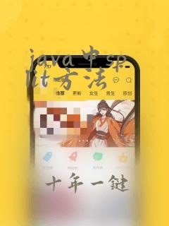 java中split方法