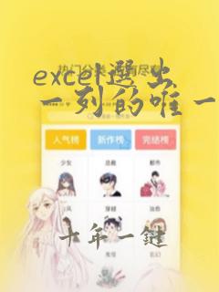 excel选出一列的唯一数据