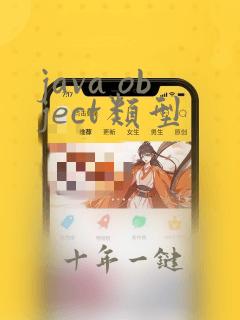 java object类型