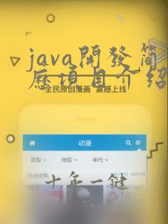 java开发简历项目介绍