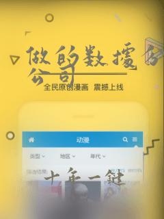 做的数据分析的公司