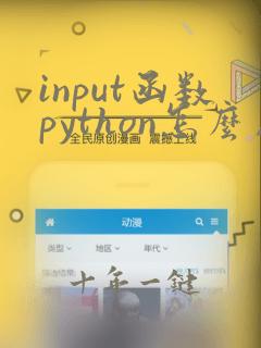 input函数python怎么用