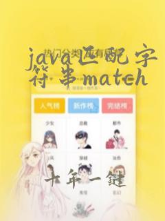 java匹配字符串match